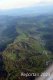 Luftaufnahme Kanton Zuerich/Uetliberg Repischtal - Foto Uetliberg Reppischtal    8475